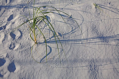 IMG_9876