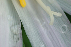 IMG_8960