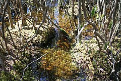 IMG_3159