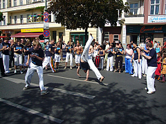 P1030417.JPG