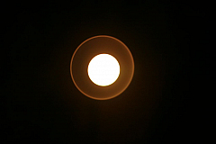 IMG_4276