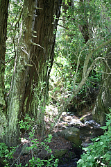 IMG_7852.JPG