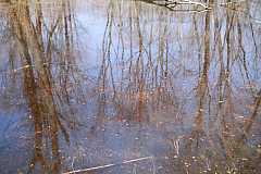 IMG_8135.JPG