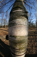 IMG_7283.JPG