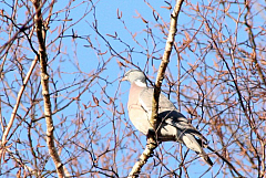 IMG_7311_.jpg