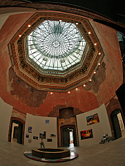 IMG_2372.jpg