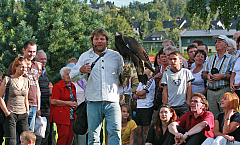 IMG_2904.jpg