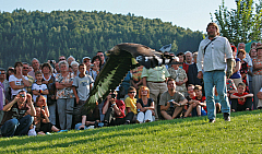 IMG_2920.jpg