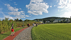 IMG_2983.jpg
