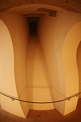 IMG_1956.jpg
