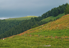 IMG_6366