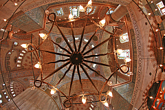 IMG_3750.jpg
