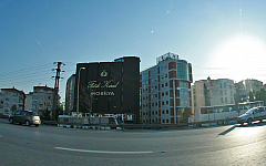 IMG_4123.jpg
