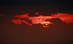 IMG_4556.jpg