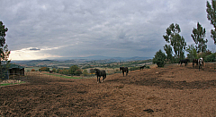 IMG_4439.jpg