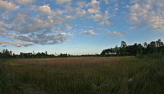 IMG_5475.jpg