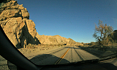 IMG_8479.jpg