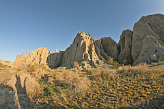 IMG_8486.jpg