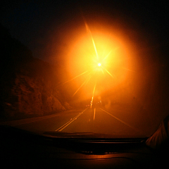 IMG_8356.jpg