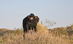 IMG_9704.jpg