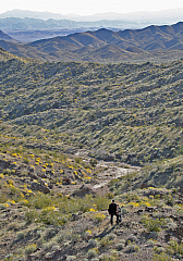 IMG_9761.jpg