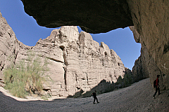 IMG_9876.jpg