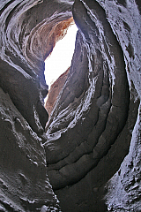 IMG_9958.jpg