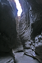 IMG_9966.jpg