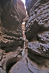 IMG_9982.jpg