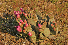 IMG_8685.jpg