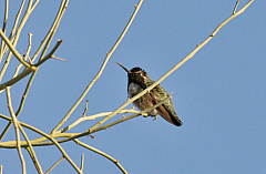 IMG_8695.jpg