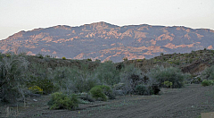 IMG_9242.jpg