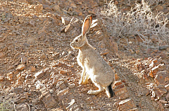 IMG_9379.jpg