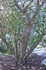 IMG_1555.jpg