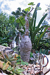 IMG_1608.jpg