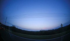IMG_1073.jpg