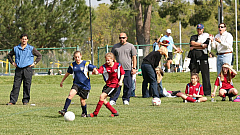 IMG_7850.jpg
