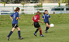 IMG_7878.jpg