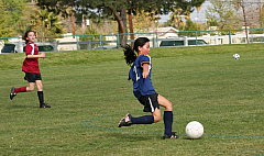 IMG_7881.jpg