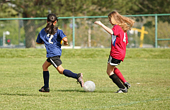 IMG_7909.jpg