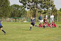 IMG_7931.jpg