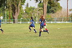 IMG_7940.jpg