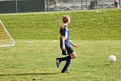 IMG_7954.jpg
