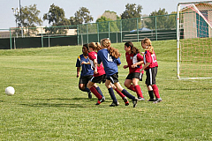IMG_7962.jpg