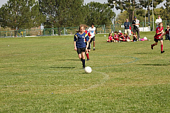 IMG_7966.jpg