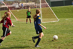 IMG_7971.jpg