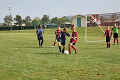 IMG_7975.jpg