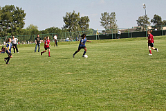 IMG_7981.jpg
