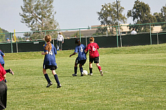 IMG_7990.jpg