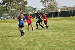 IMG_7993.jpg